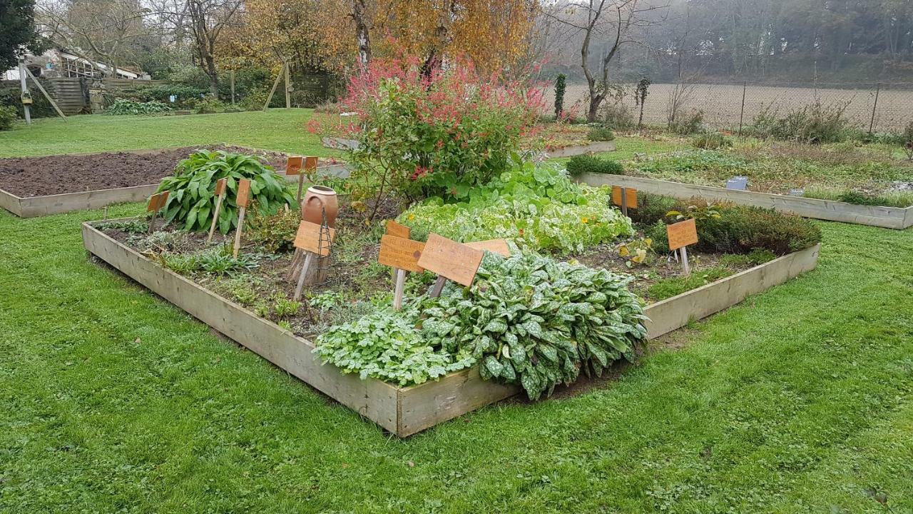 Le Manoir De La Bigotiere Panzió Pleslin-Trigavou Kültér fotó